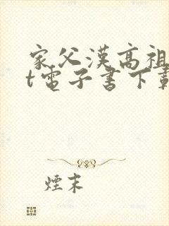 家父汉高祖txt电子书下载封面