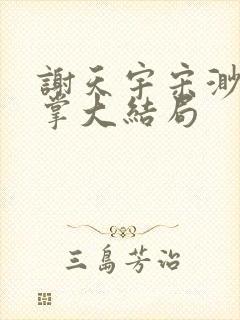 谢天宇宋渺三巴掌大结局