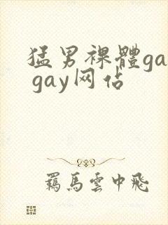 猛男裸体gay gay网站封面