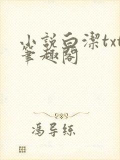 小说白洁txt笔趣阁