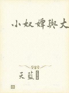 小奴婢与大少爷