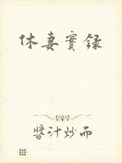休妻实录封面