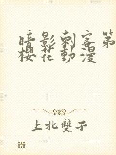 暗影刺客第四季樱花动漫