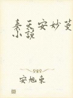 秦天安妙菱修仙小说