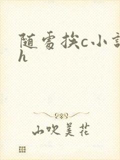 随处挨c小说高h