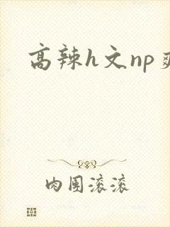 高辣h文np爽