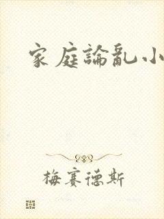 家庭论乱小说