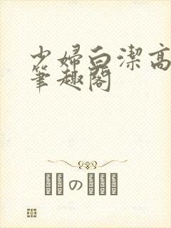 少妇白洁高义传笔趣阁