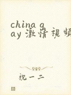 china gay 激情视频