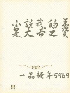 小说我的弟子全是大帝之资最新章