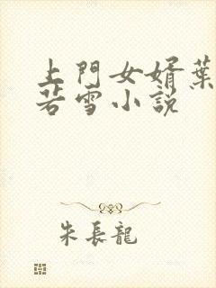 上门女婿叶凡唐若雪小说封面