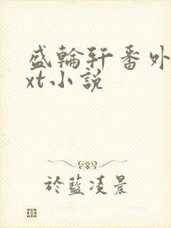 盛轮轩番外篇txt小说