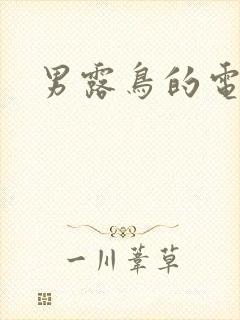 男露鸟的电影