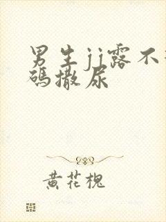 男生jj露不打码撒尿