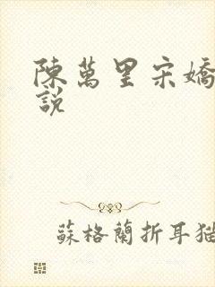 陈万里宋娇娇小说