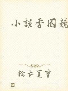 小说香国竞艳