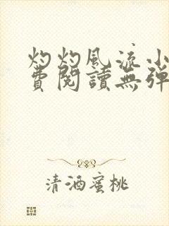 灼灼风流小说免费阅读无弹窗全文封面