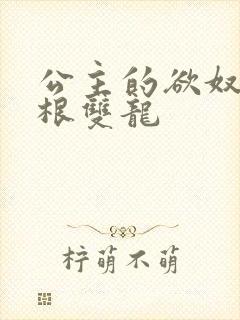 公主的欲奴h四根双龙