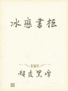 冰恋书柜封面