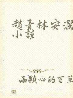 赵青林安澜全文小说