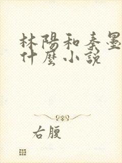 林阳和秦墨浓是什么小说封面