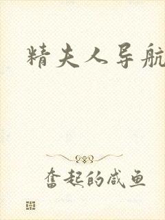 精夫人导航封面