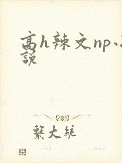高h辣文np小说