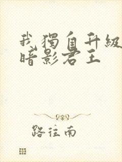 我独自升级漫画暗影君王封面