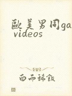 欧美男同gay videos