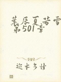 叶辰夏若雪孙怡 第501章