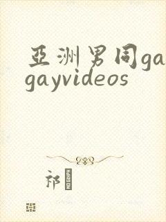 亚洲男同gaygayvideos