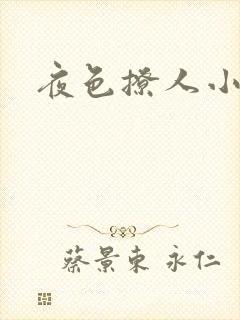 夜色撩人小说