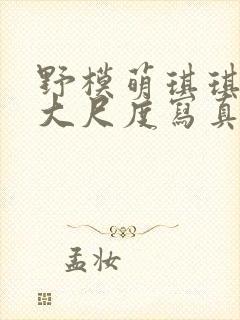 野模萌琪琪裸体大尺度写真视频