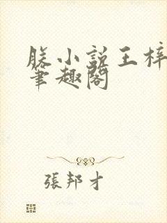 朕小说王梓钧 笔趣阁