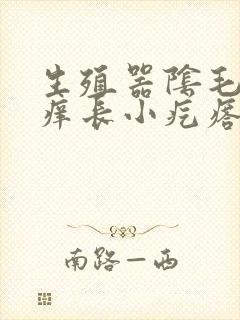 生殖器阴毛处瘙痒长小疙瘩怎么回事封面