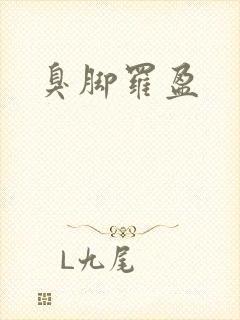 臭脚罗盈封面