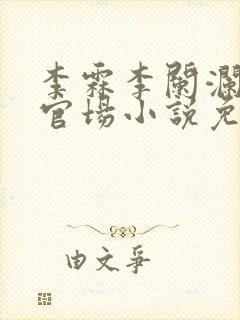 李霖李阑澜巅峰官场小说免费阅读封面