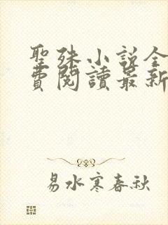 圣殊小说全文免费阅读最新章节封面