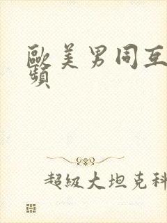 欧美男同互操视频