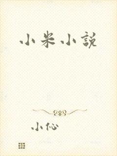小米小说
