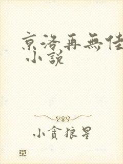 京洛再无佳人2 小说封面