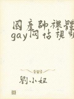 国产帅裸体男模gay网站视频