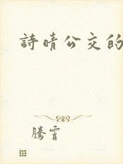 诗晴公交的小说封面