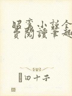 昭鸾小说全文免费阅读笔趣阁