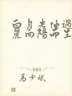 白月光他过分美丽向阳而生笔趣阁