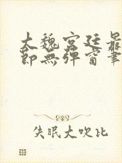 大魏宫廷最新章节无弹窗笔趣阁