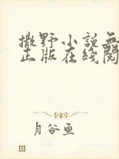 撒野小说无删减正版在线阅读