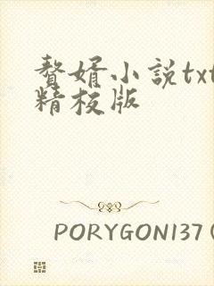 赘婿小说txt精校版