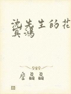 沈先生的花式调冥鸿封面