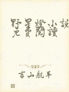 野星灯小说全文免费阅读封面